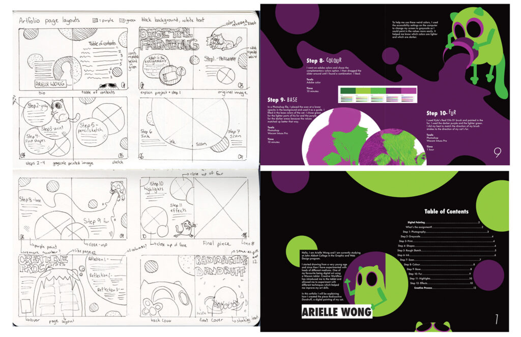 a before and after montage of an art folio, explaining my creative process for a cat illustration.