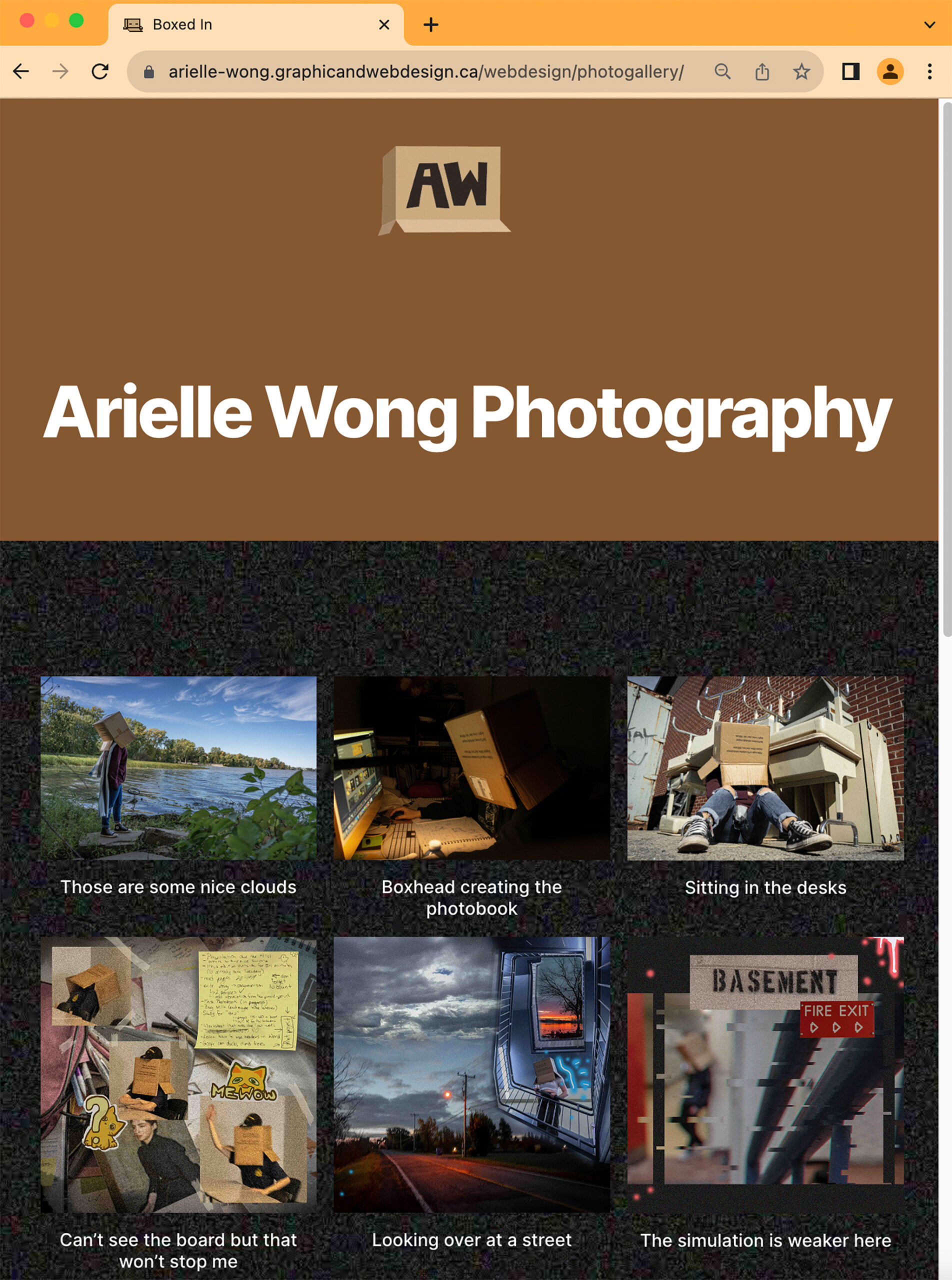 Screenshot of a photo gallery webpage. The theme is cardboard boxes. Every picture is of a person wearing a cardboard box on their head.